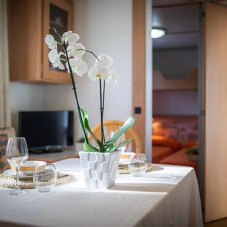 Village & La Foce Kemping