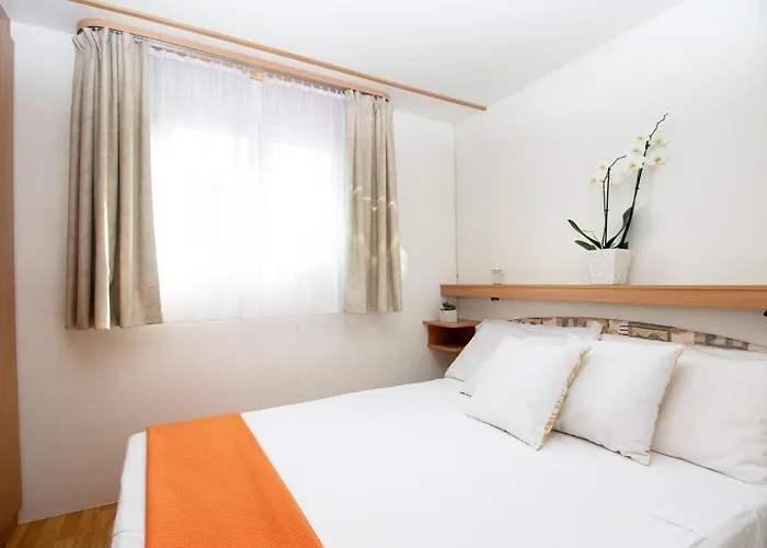 乡村及露营拉福斯露营地